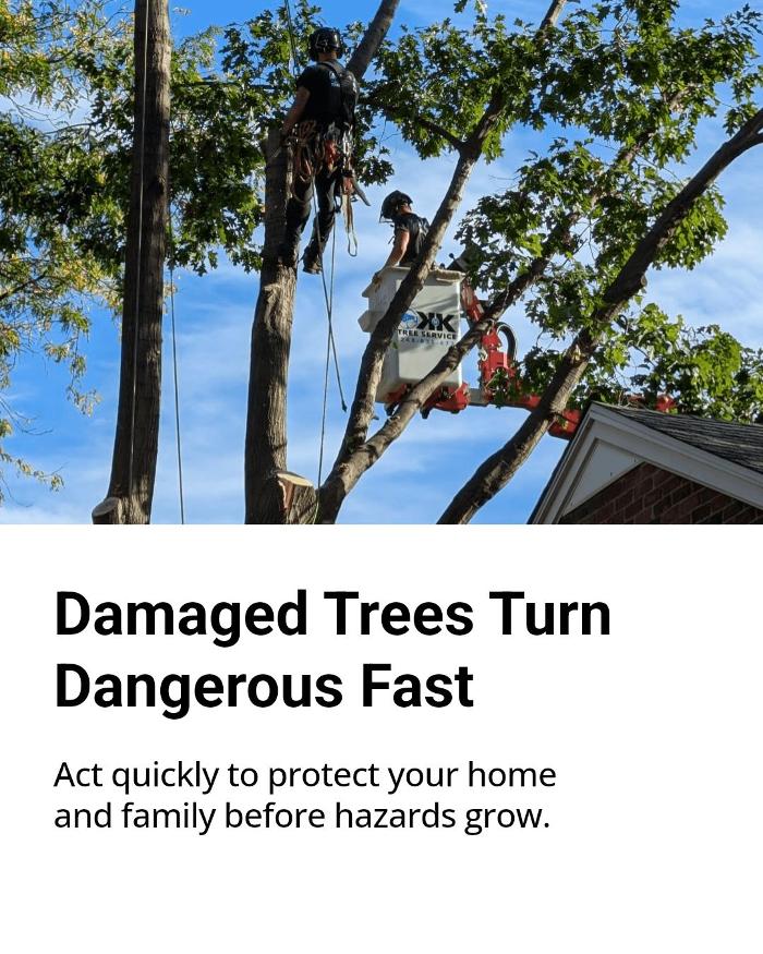 K N K Tree Service, LLC Image