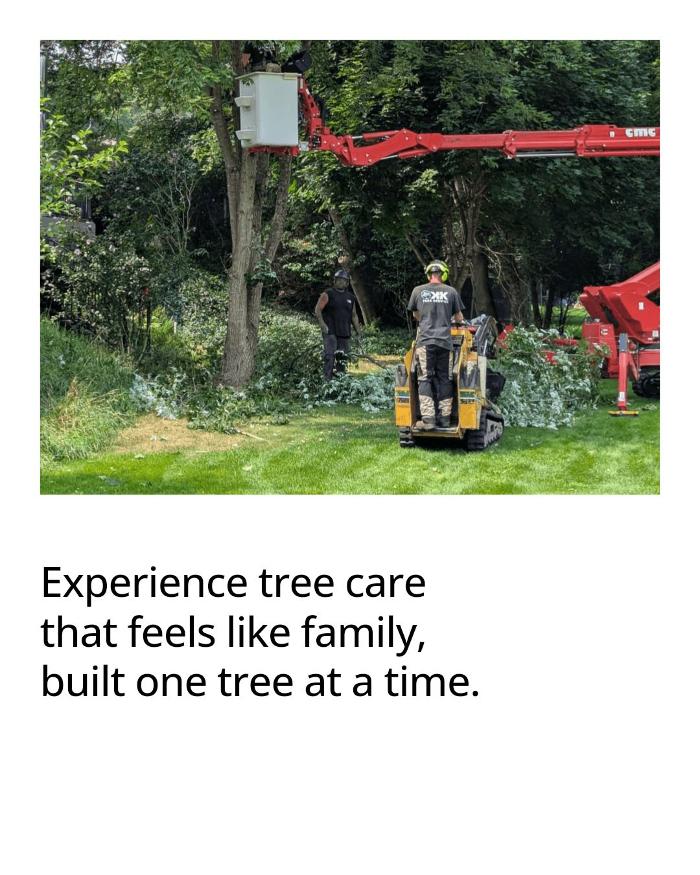 K N K Tree Service, LLC Image