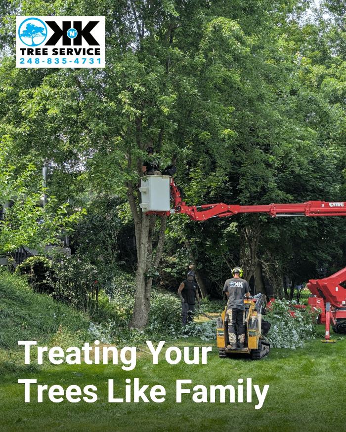 K N K Tree Service, LLC Image