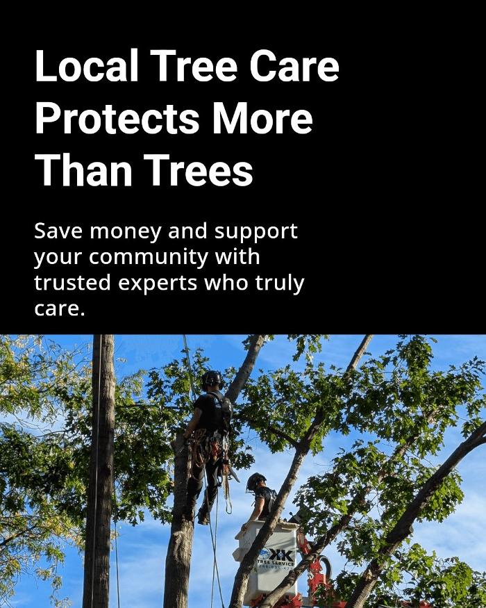 K N K Tree Service, LLC Image