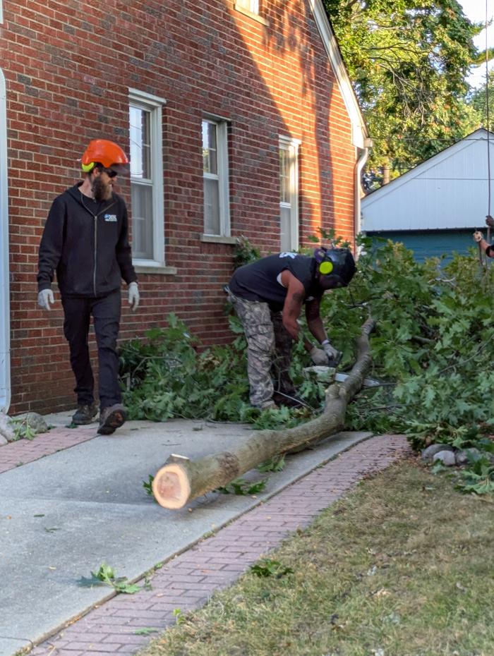 K N K Tree Service, LLC Image