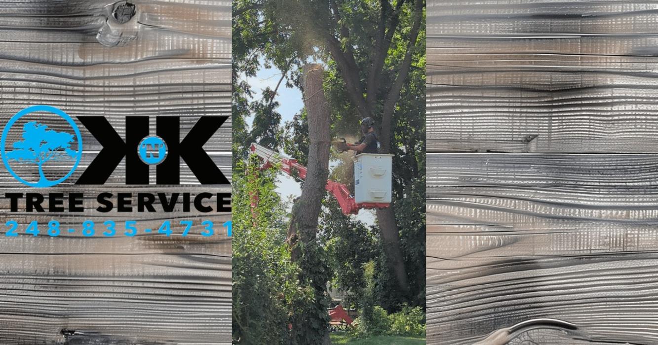 K N K Tree Service, LLC Image