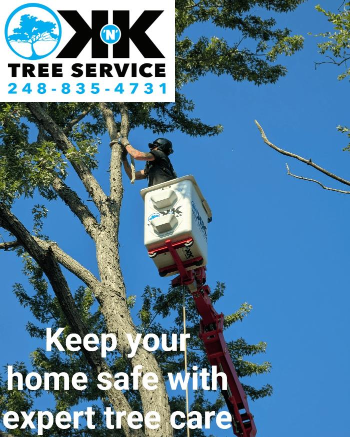 K N K Tree Service, LLC Image