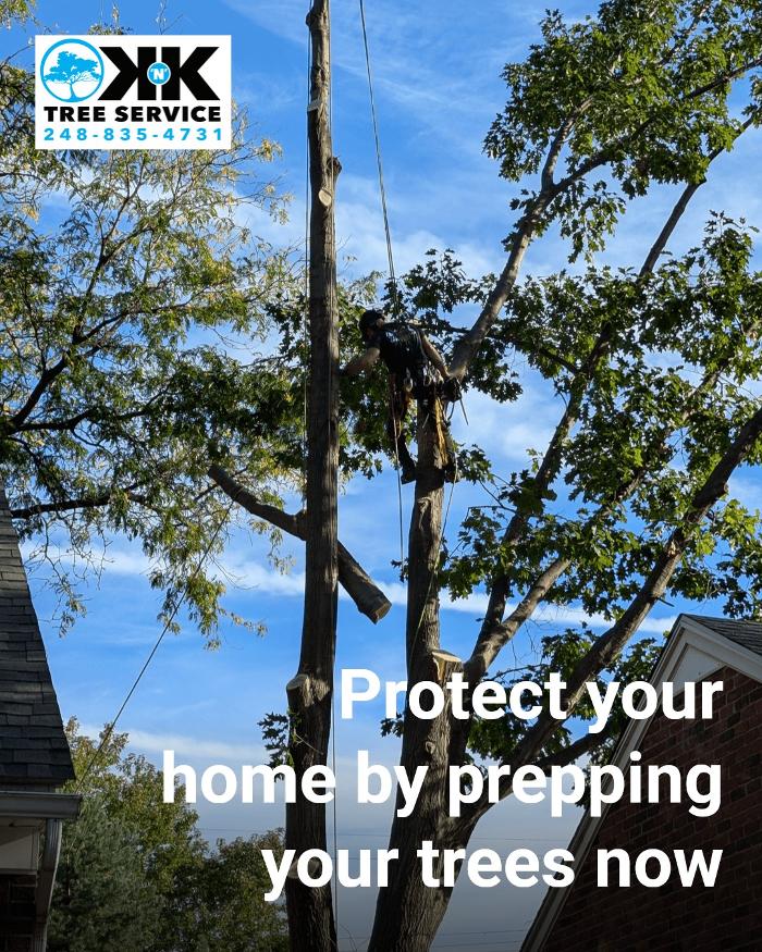 K N K Tree Service, LLC Image