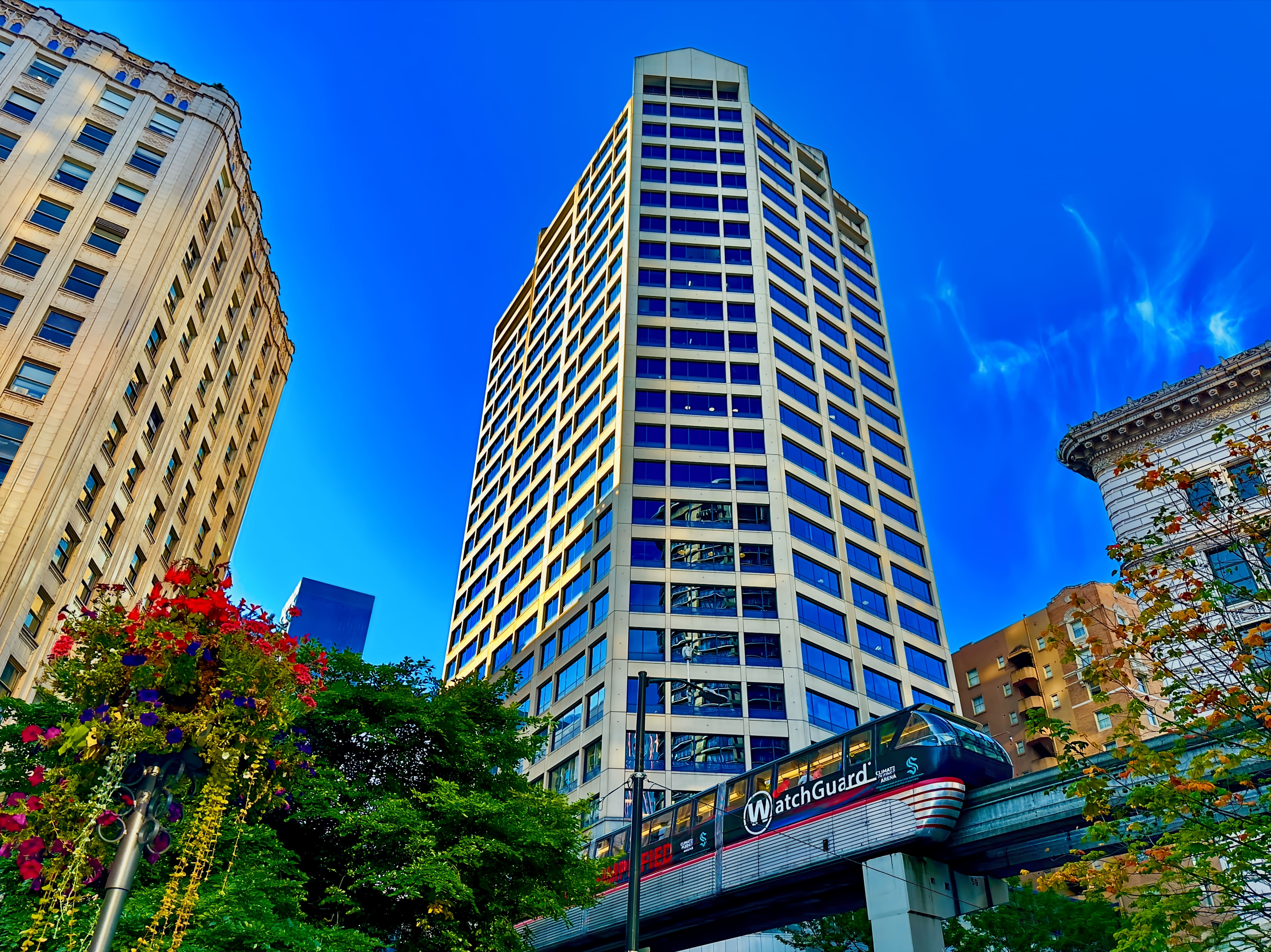 Circular Image