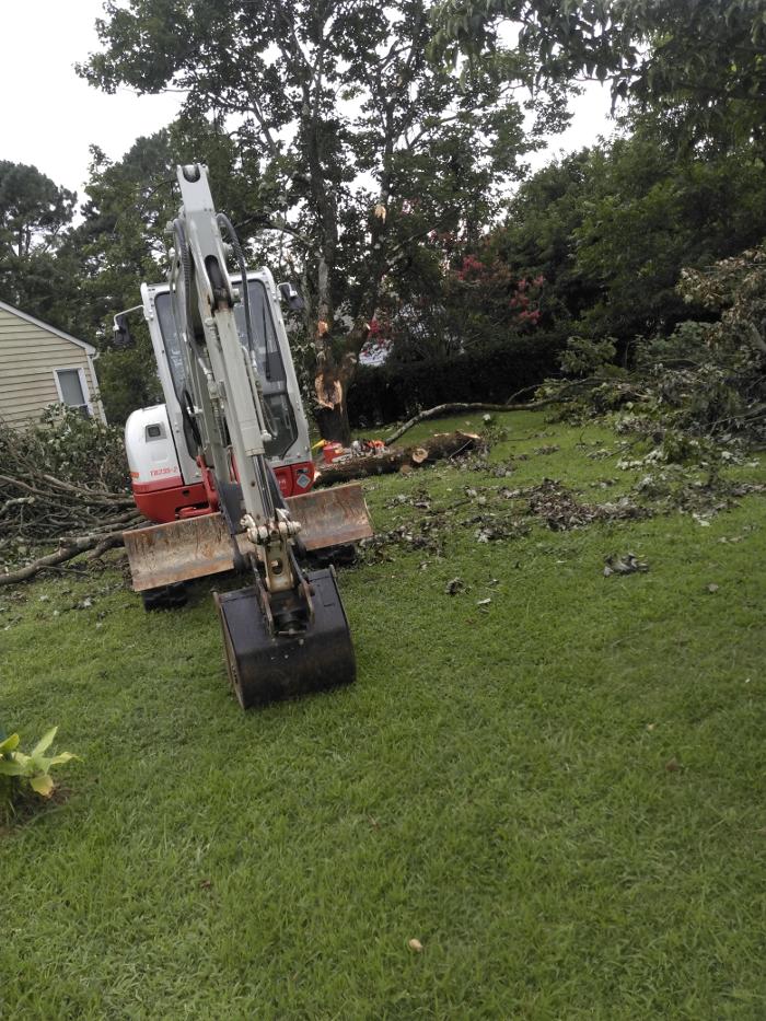 East Coast Trimmers Tree Service LLC Image