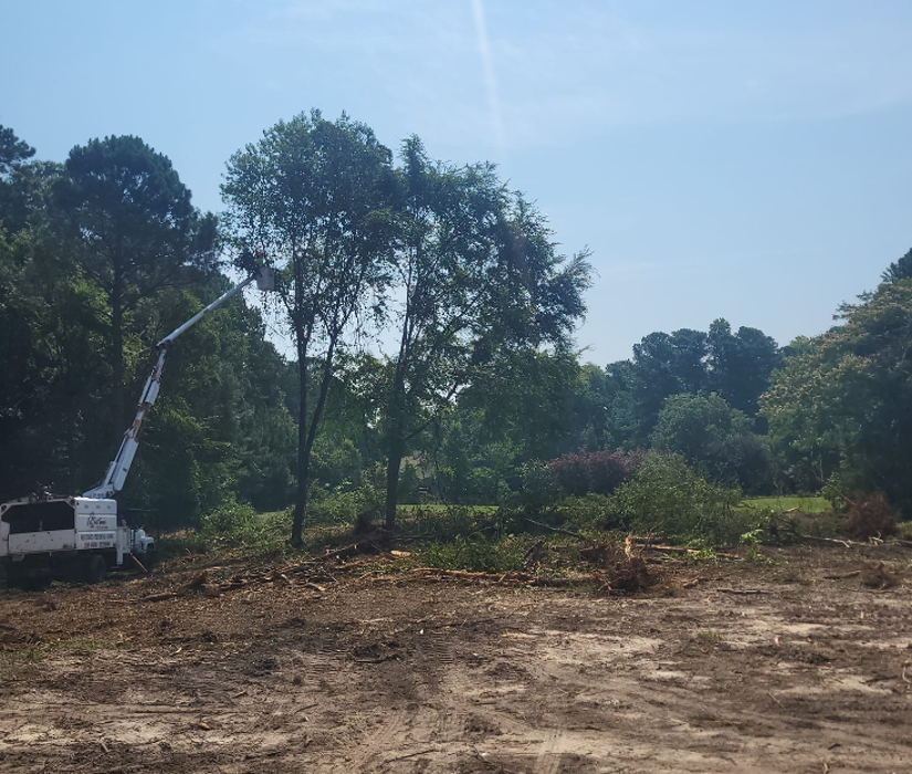 East Coast Trimmers Tree Service LLC Image