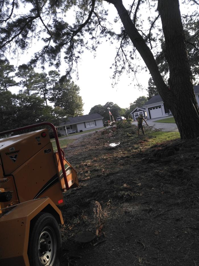 East Coast Trimmers Tree Service LLC Image