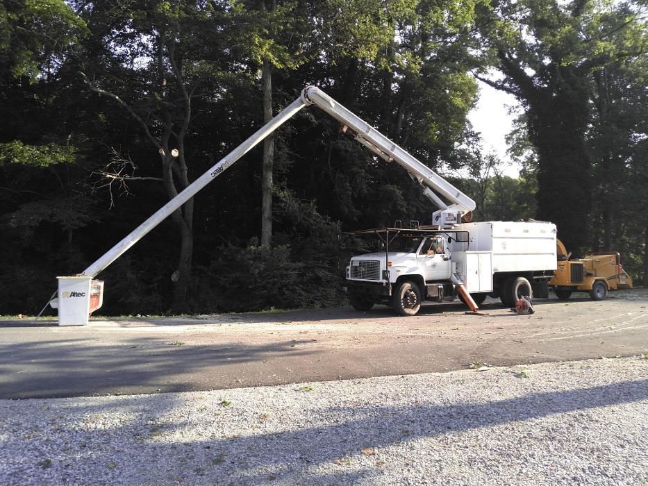 East Coast Trimmers Tree Service LLC Image