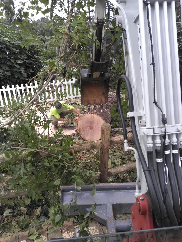 East Coast Trimmers Tree Service LLC Image