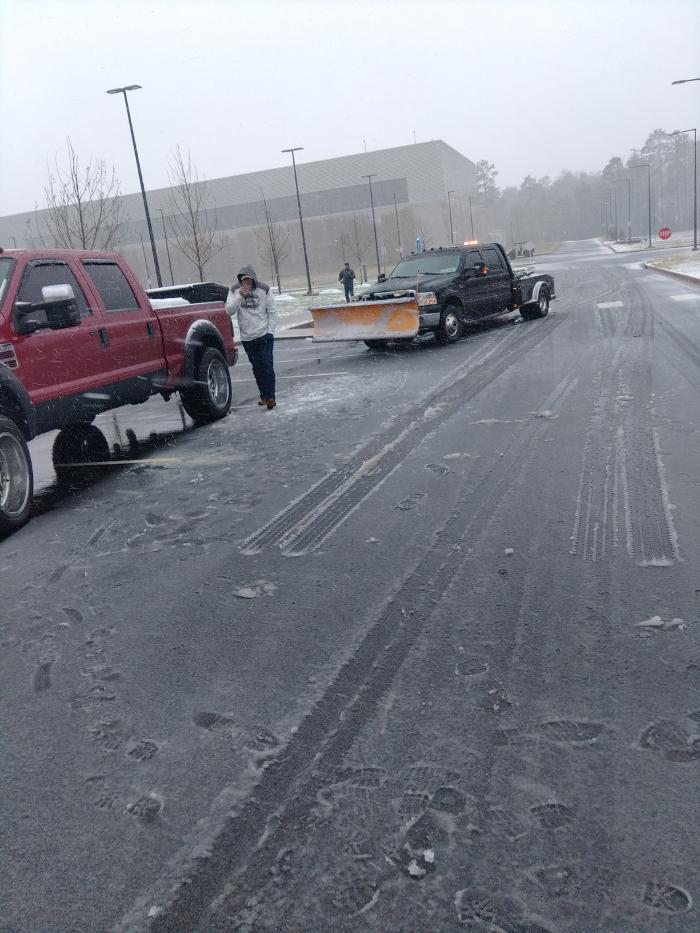 East Coast Trimmers Tree Service LLC Image