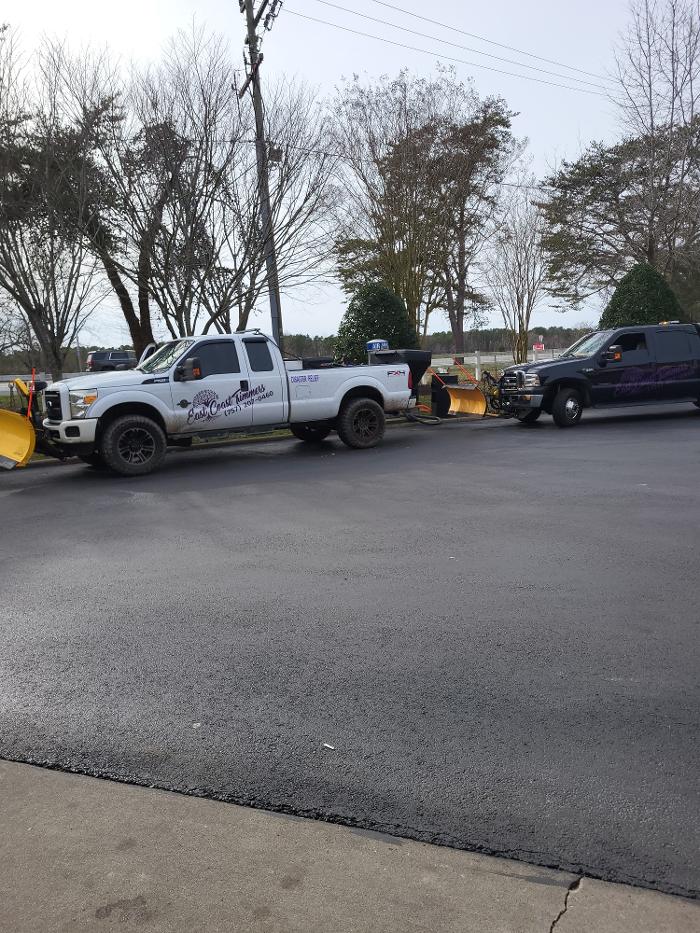 East Coast Trimmers Tree Service LLC Image