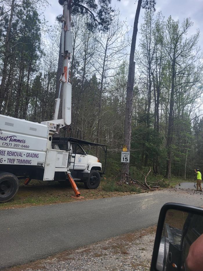 East Coast Trimmers Tree Service LLC Image