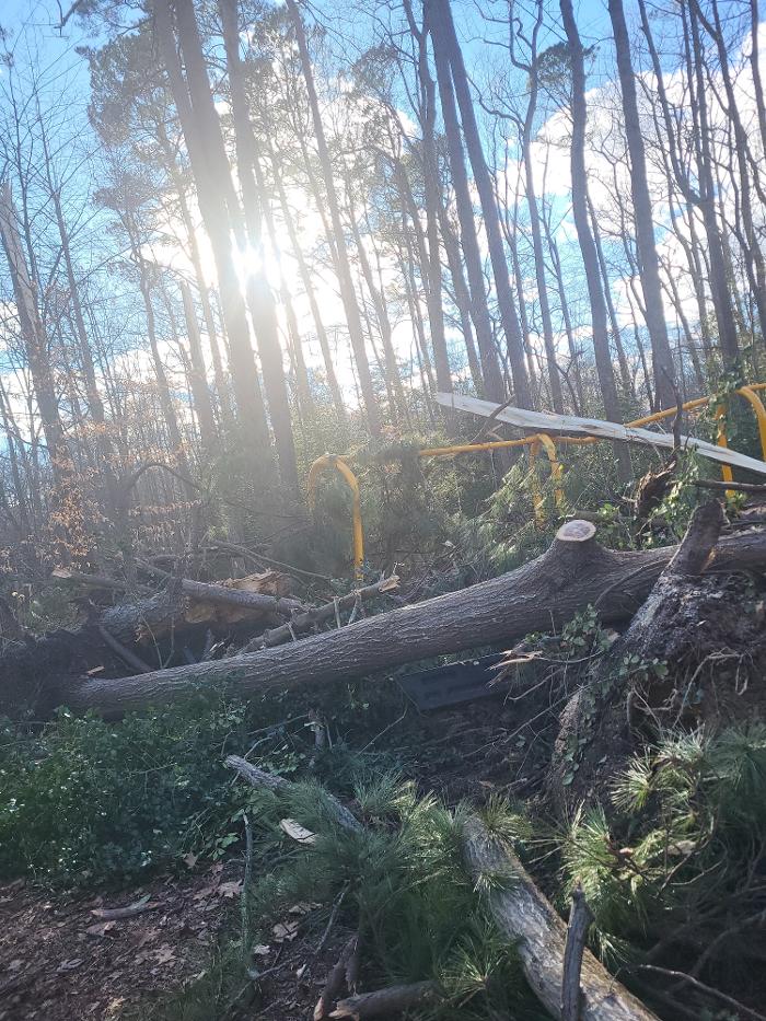 East Coast Trimmers Tree Service LLC Image