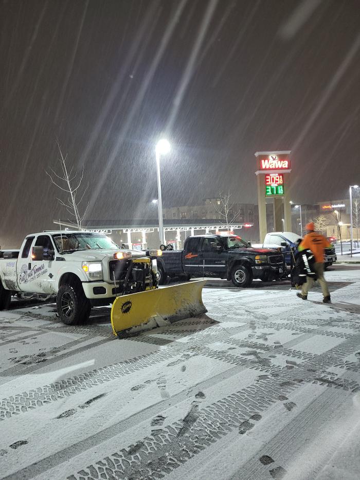 East Coast Trimmers Tree Service LLC Image