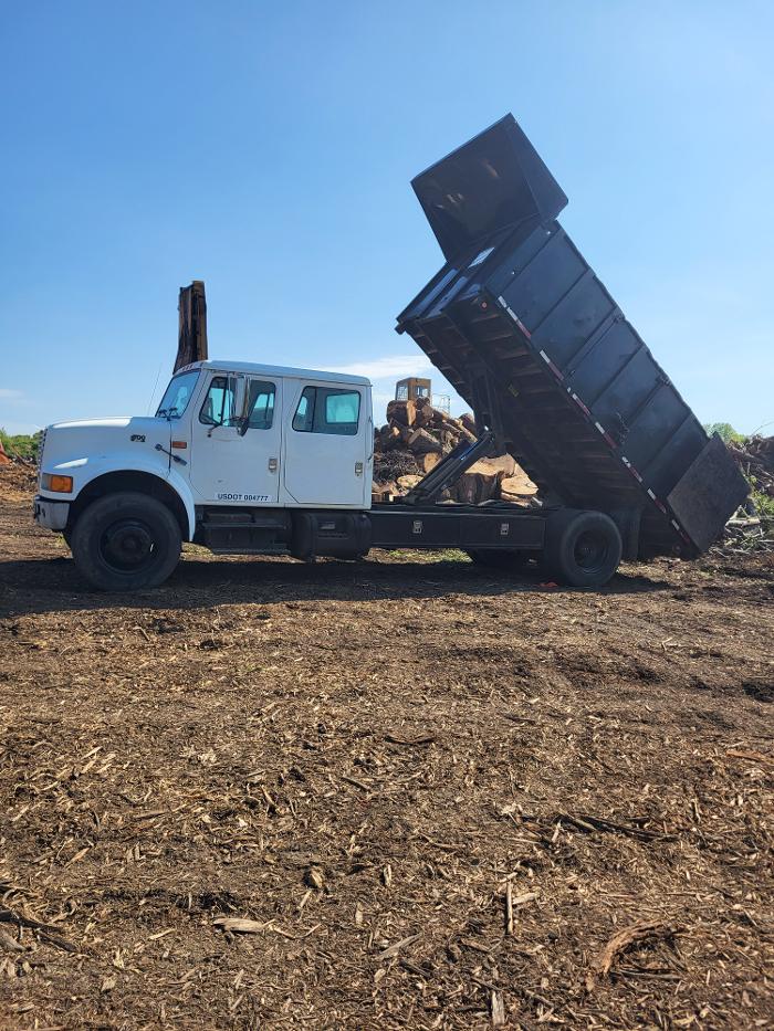 East Coast Trimmers Tree Service LLC Image