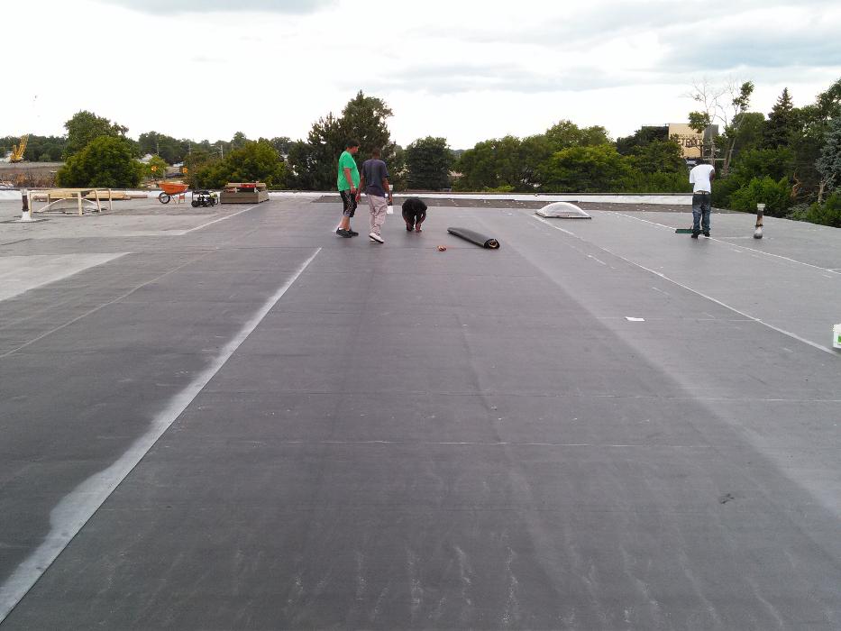 protek roofing - Detroit, MI