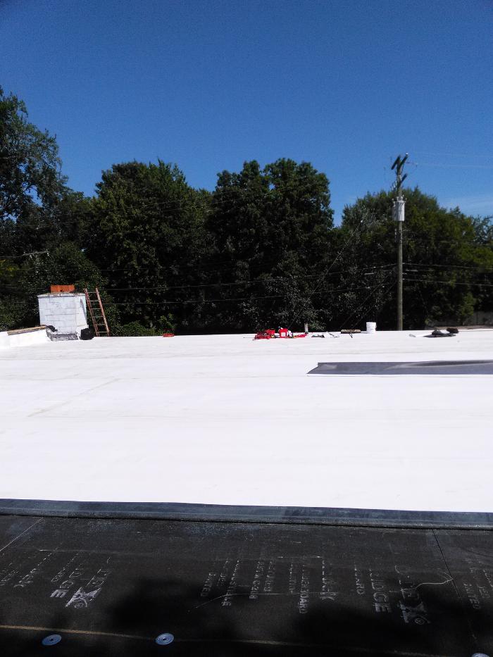 protek roofing - Detroit, MI
