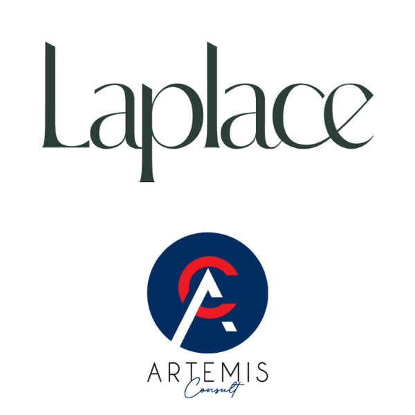 Artemis Consult Autres services