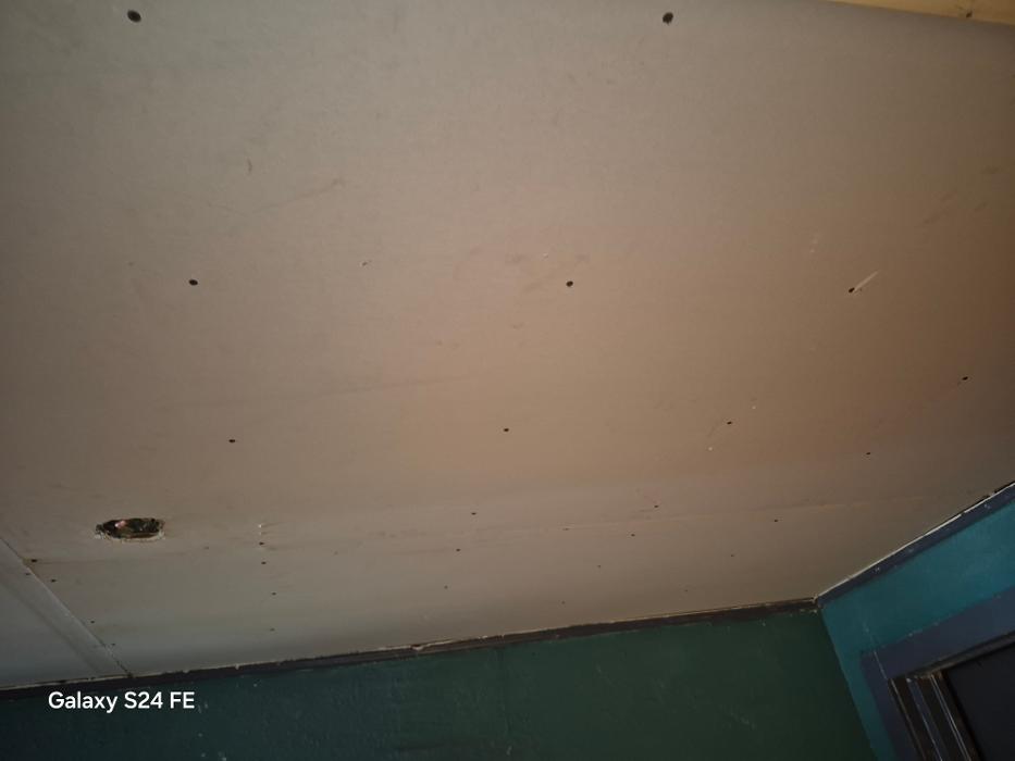 Northeast Florida Handyman LLC - Palatka, FL