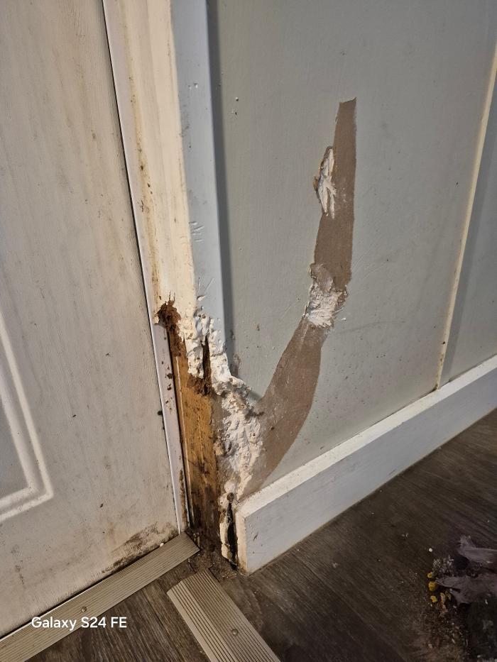 Northeast Florida Handyman LLC - Palatka, FL