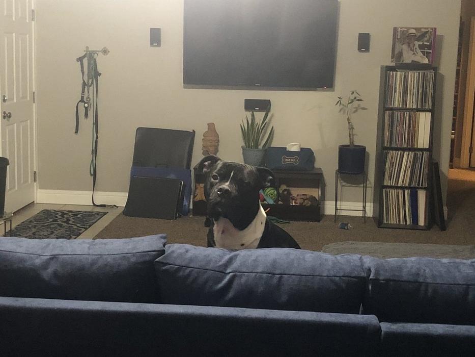 Tehachapi Furniture and Mattress Image