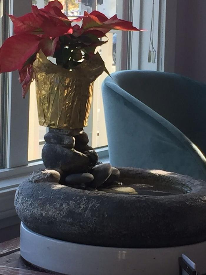 Lotus Center of Oriental Medicine and Respiratory Associates
