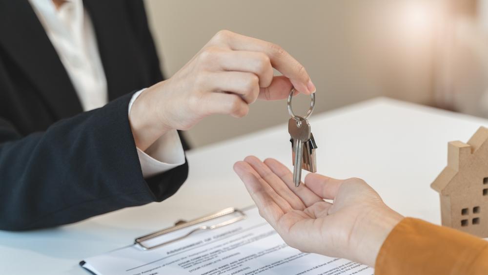 Pilz Immobilien, Rostocker Straße in Frankfurt (Oder)