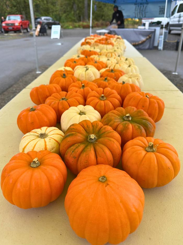 Johnsons Home & Garden - Maple Valley, WA