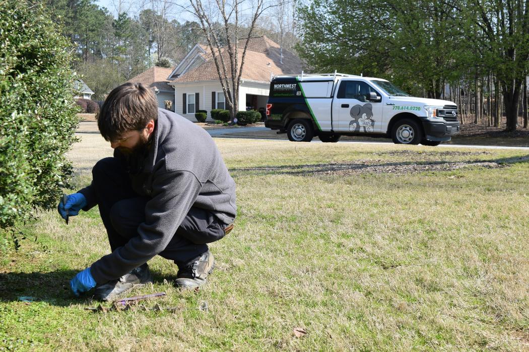 Northwest Exterminating - Nashville - Hermitage, TN