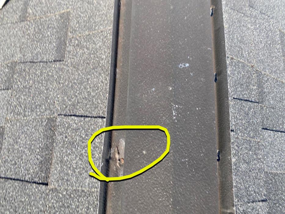 Tampa Bay Roofing Services - Spring Hill, FL