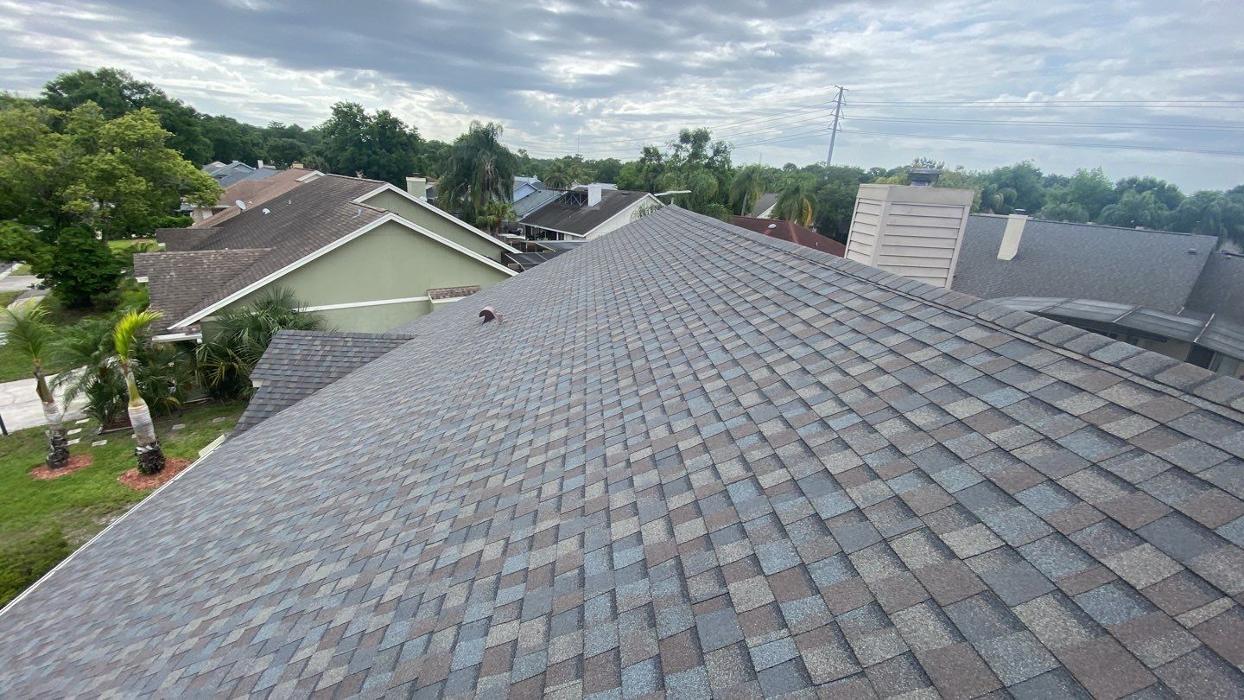Tampa Bay Roofing Services - Spring Hill, FL