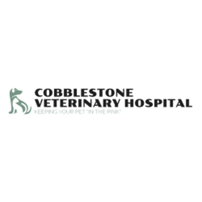 Cobblestone Veterinary Hospital - Avoca, MI