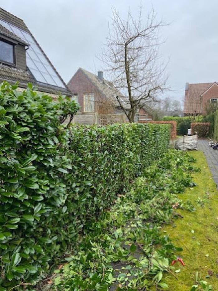 Altin Braneshi - Hausmeisterservice, Am Wiesengrund in Ahrensburg