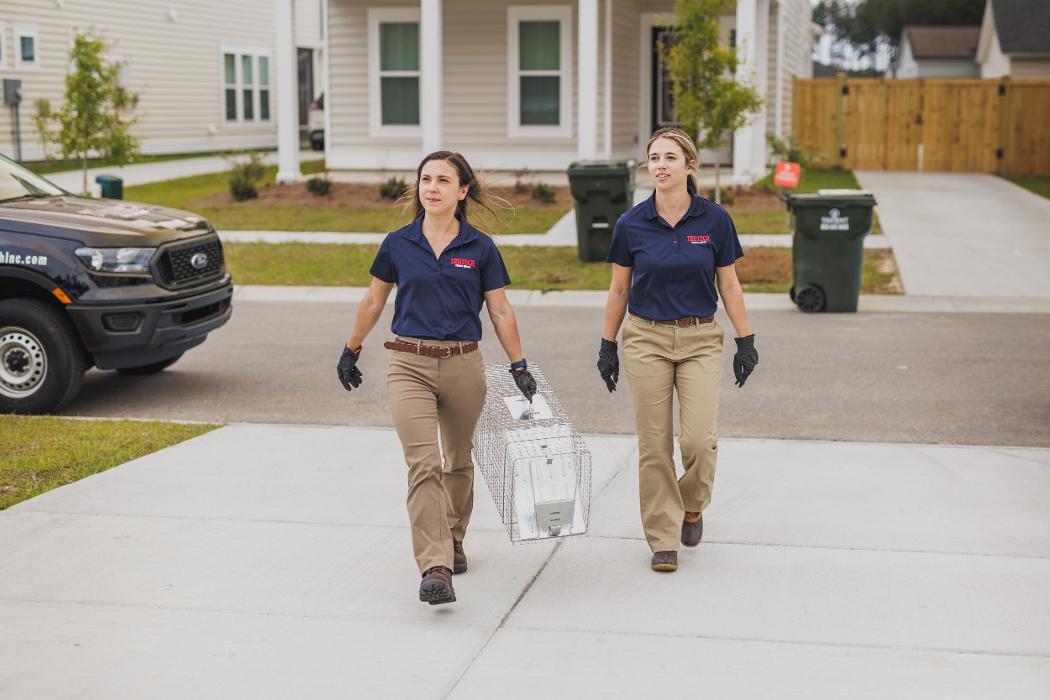 Trutech Wildlife Service - Atlantic Beach, FL