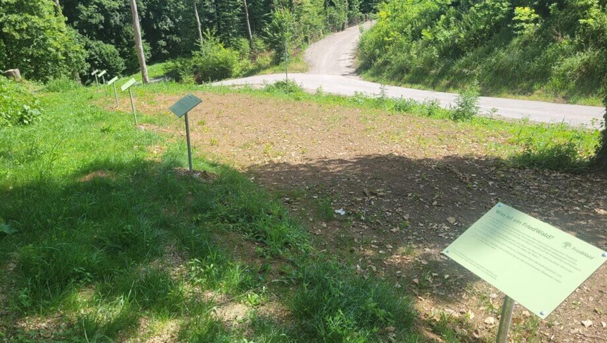 FriedWald Starzach, Eyacher Straße in Starzach