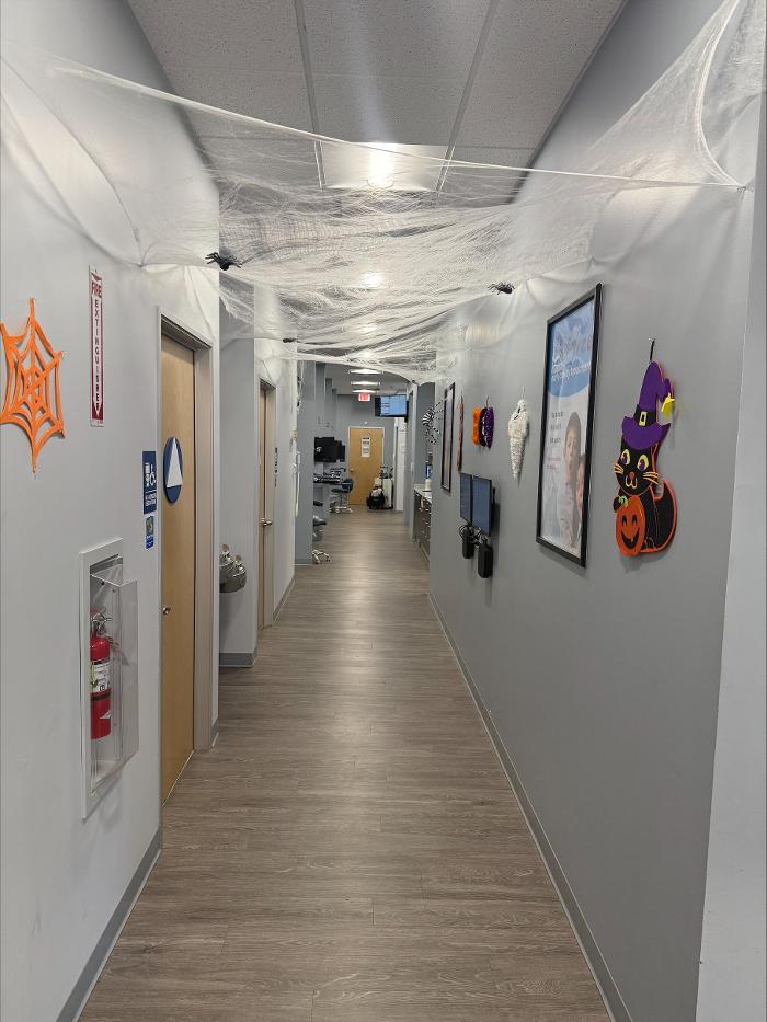 Western Dental & Orthodontics Image