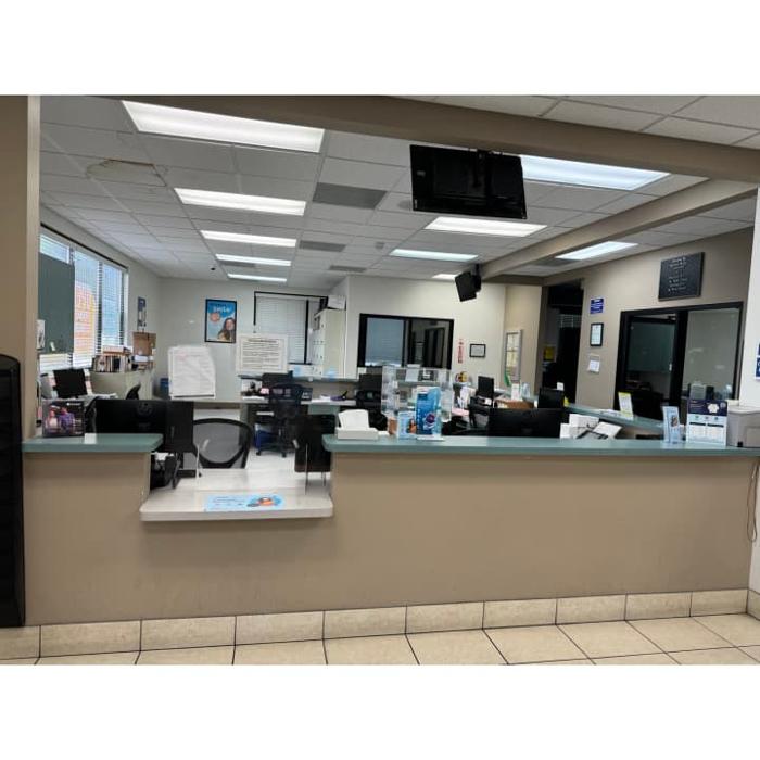 Western Dental & Orthodontics Image