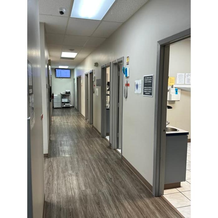 Brident Dental &amp; Orthodontics Logo