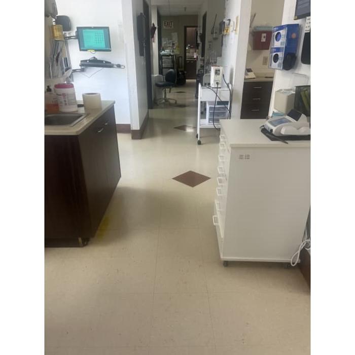 Western Dental & Orthodontics Image