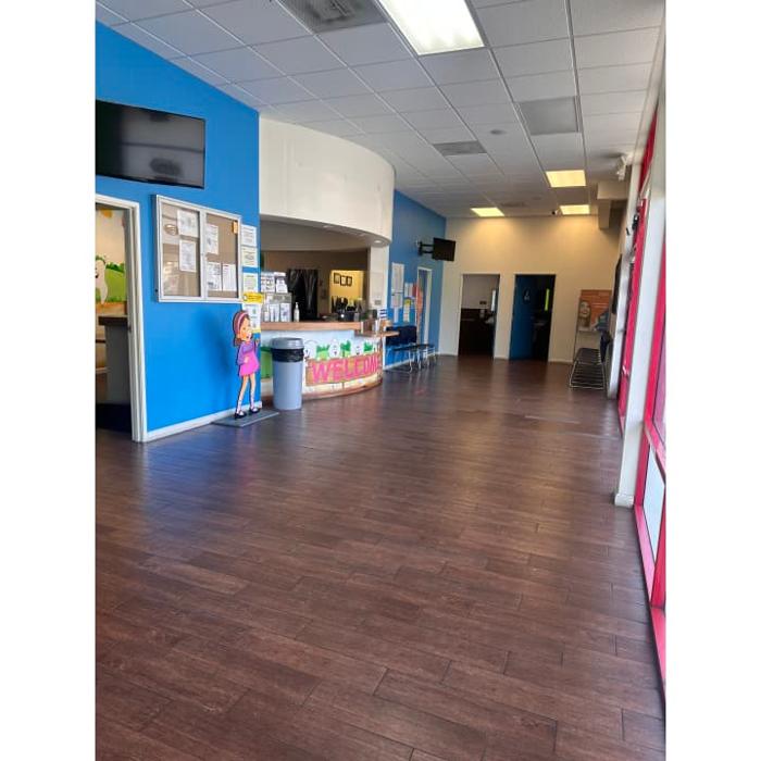 Western Dental & Orthodontics Kids Image