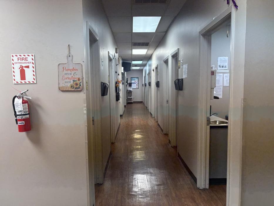 Brident Dental & Orthodontics Image