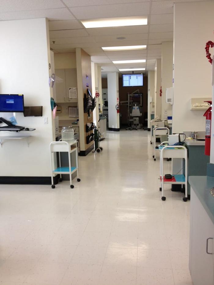 Western Dental & Orthodontics Image