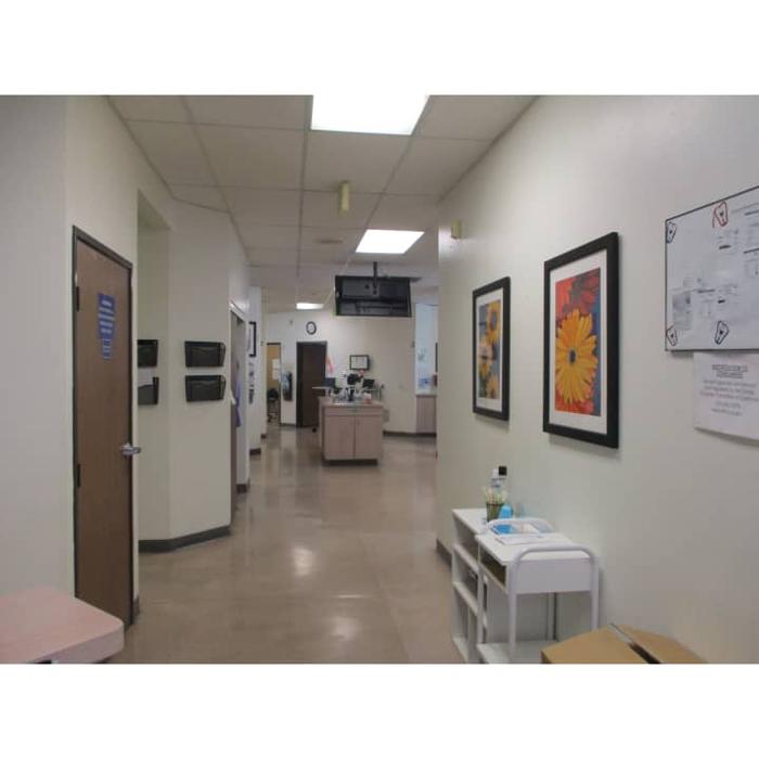 Western Dental & Orthodontics Image