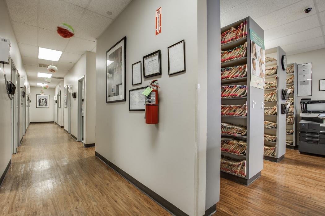 Brident Dental & Orthodontics Image