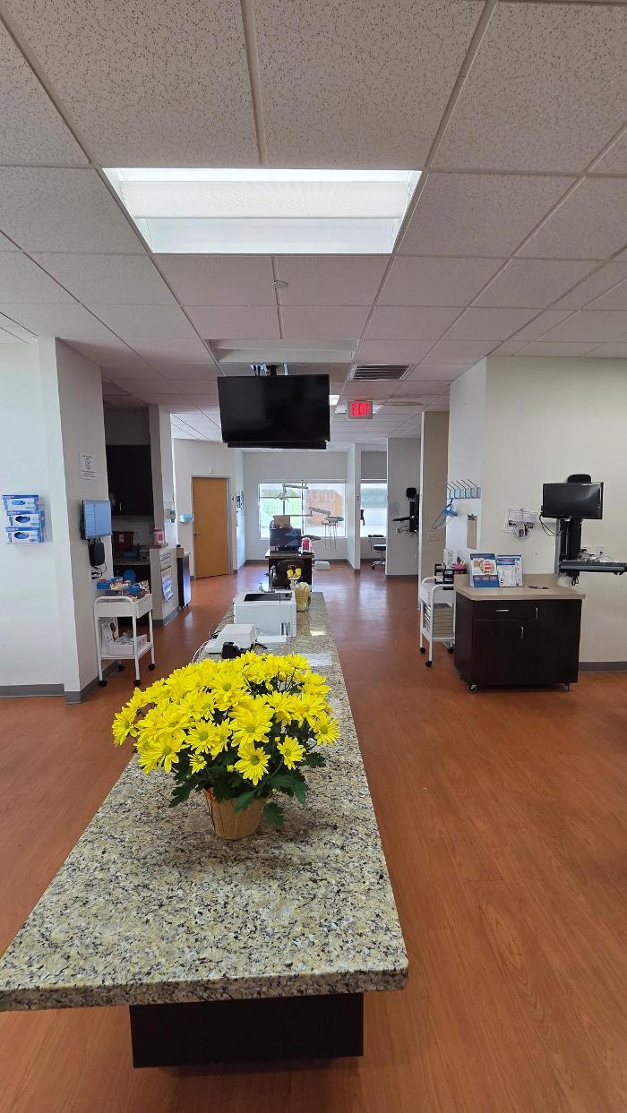 Brident Dental & Orthodontics Image