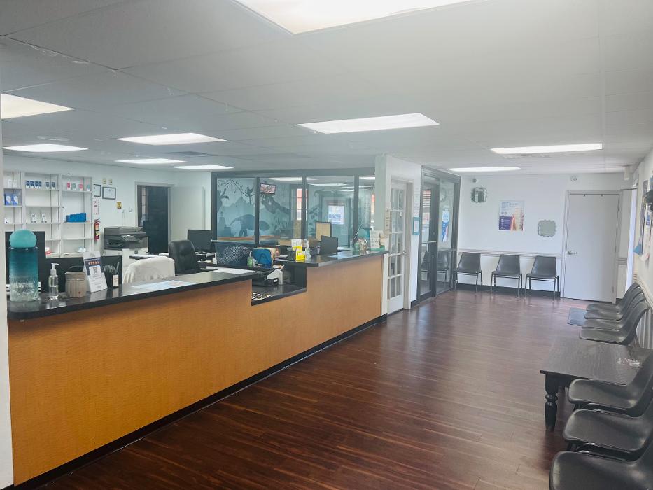 Brident Dental & Orthodontics Image