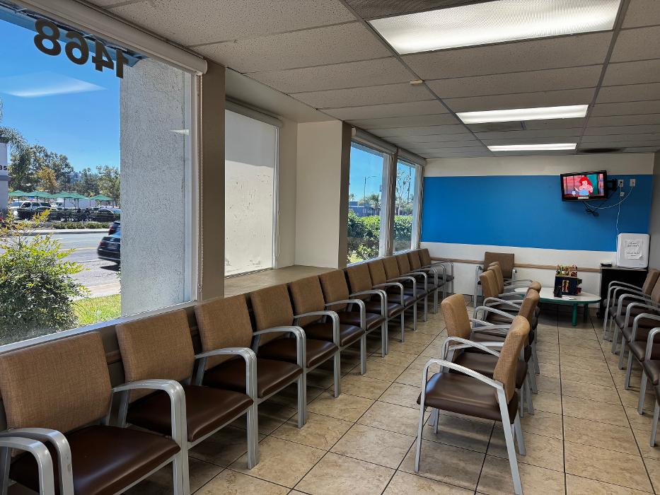 Western Dental & Orthodontics Image