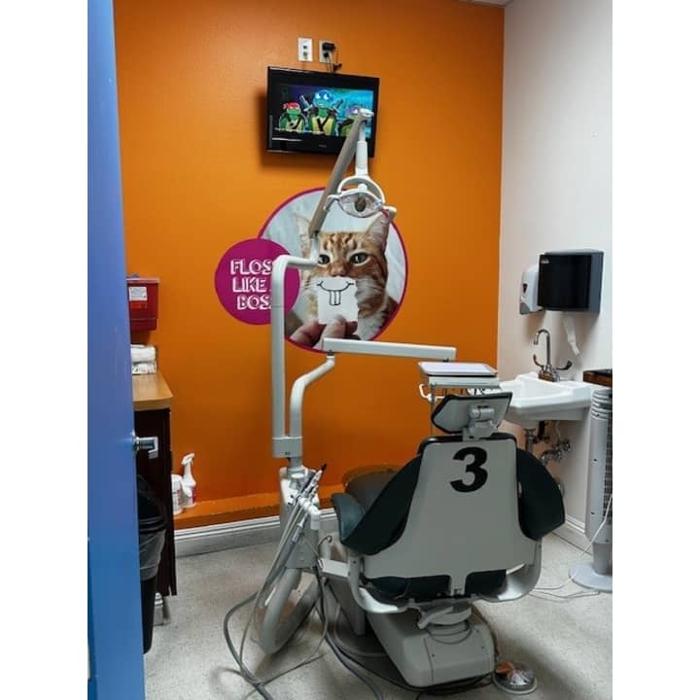 Western Dental Kids Image