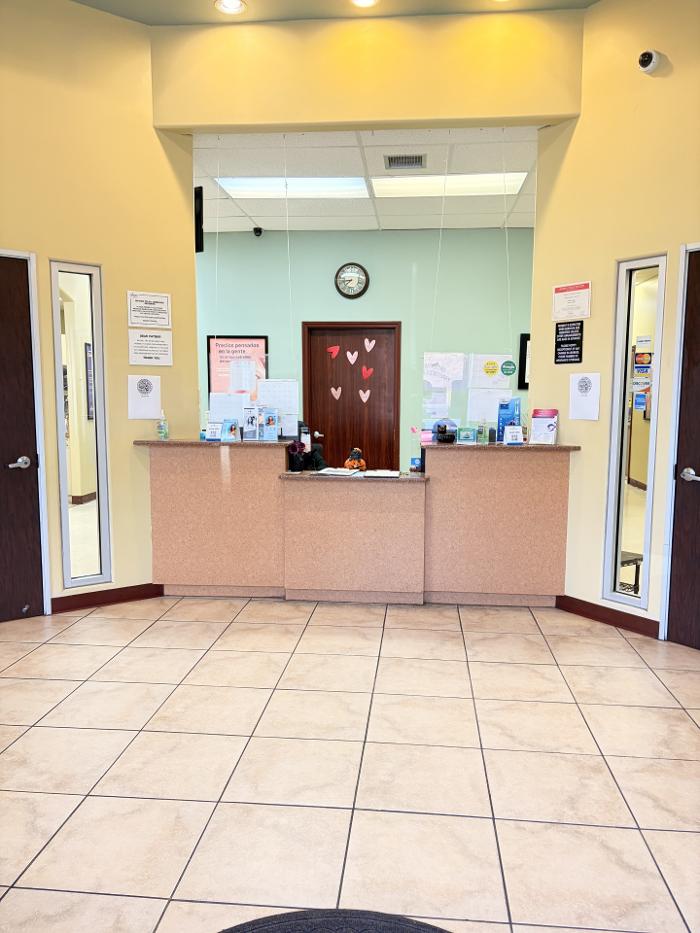 Brident Dental & Orthodontics Image